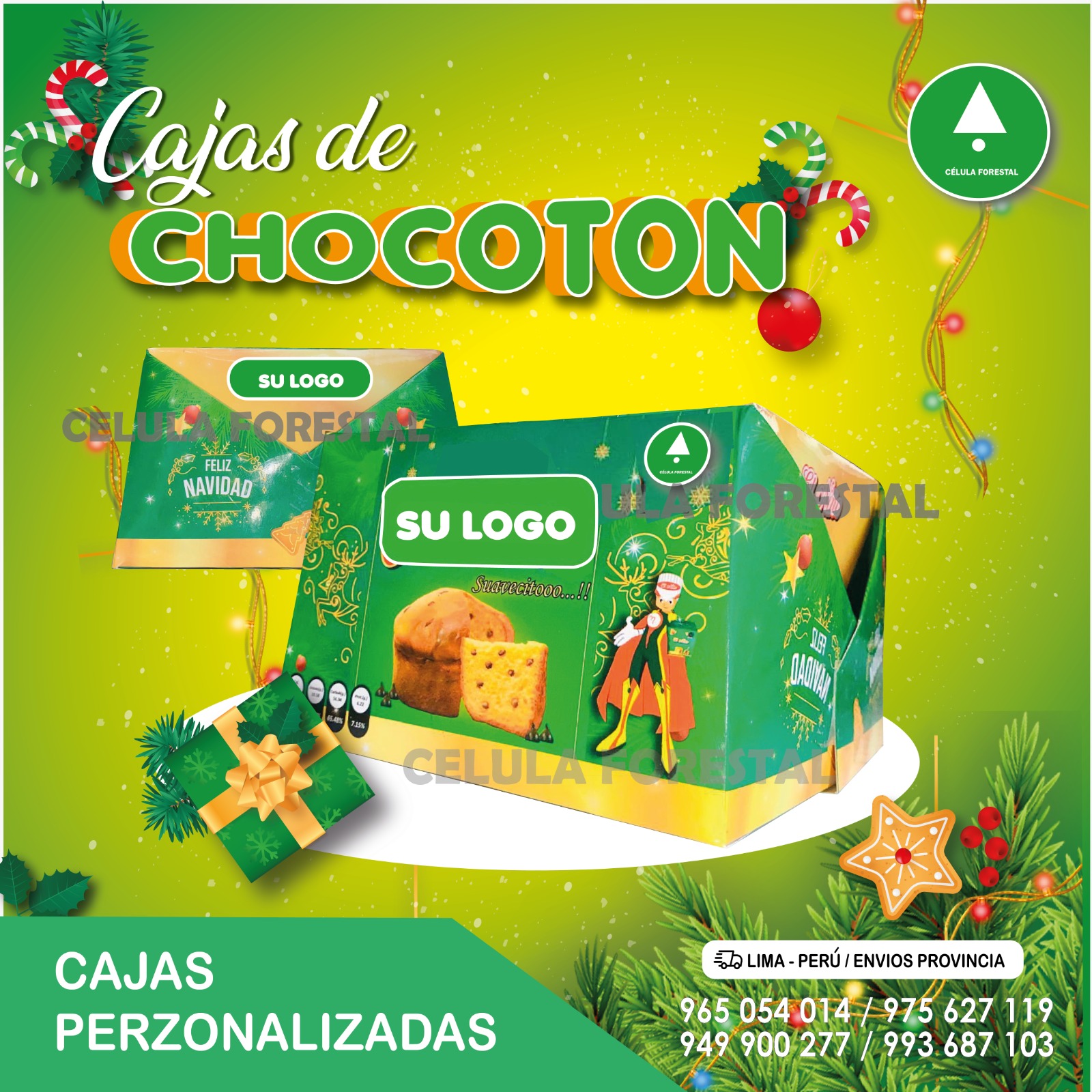 Caja chocoton